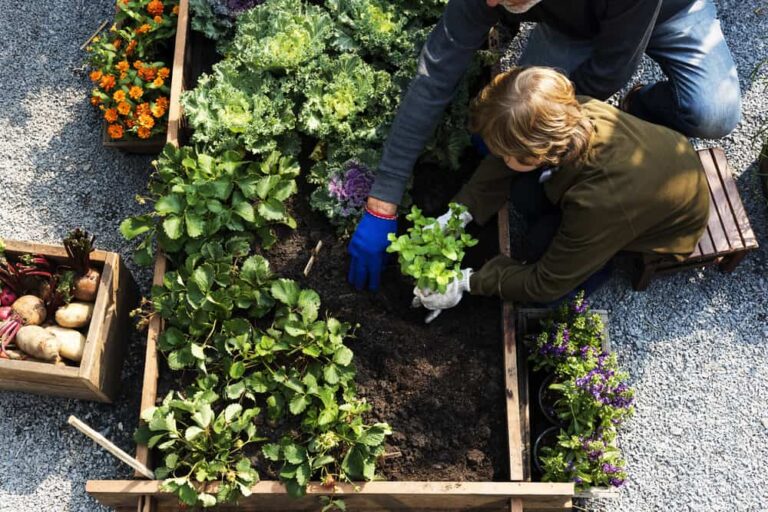 What vegetables are worth growing?