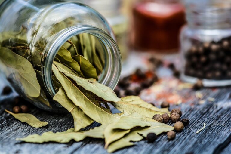 Las hojas secas de laurel se deben conservar con cierres herm&eacute;ticos