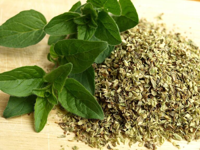Es recomendable escoger las ramas en flor para secar el or&eacute;gano