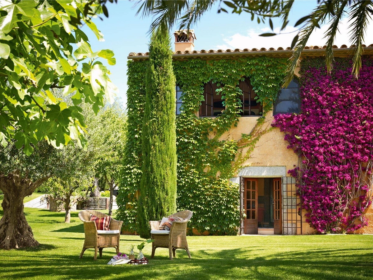 the bougainvillea must be in the sun or in the shade