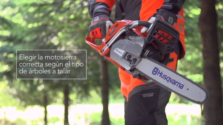 How to choose the right chainsaw