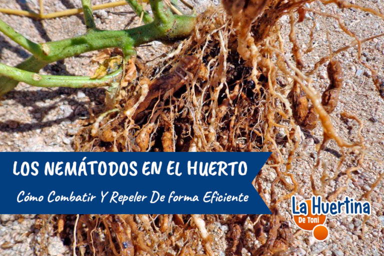 How to fight nematodes