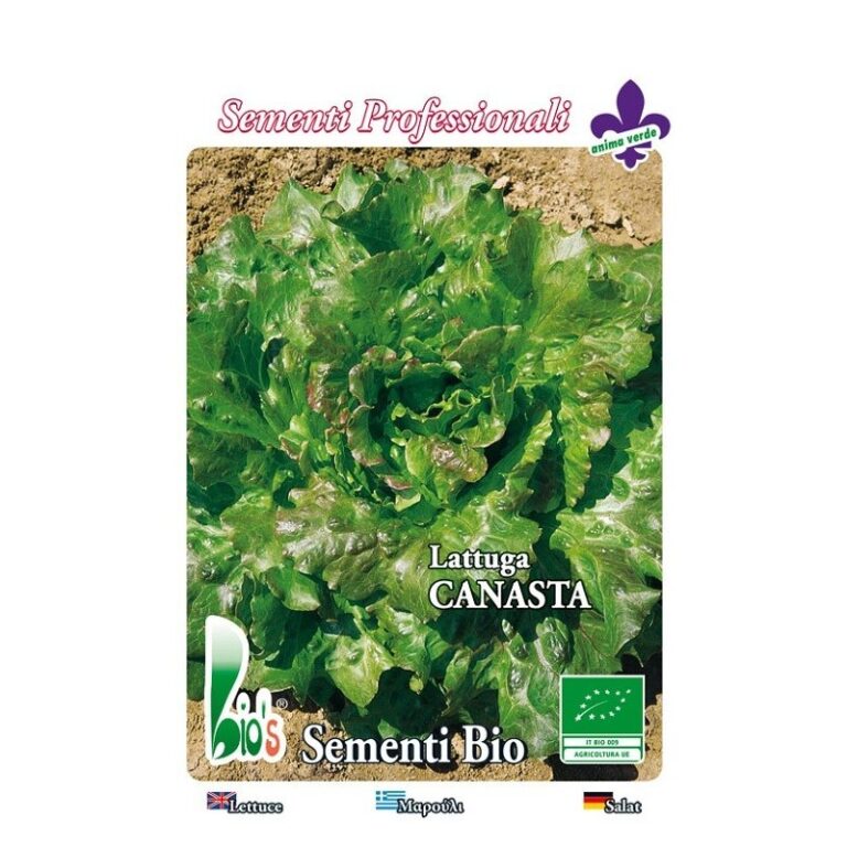 Lettuce cultivation basket