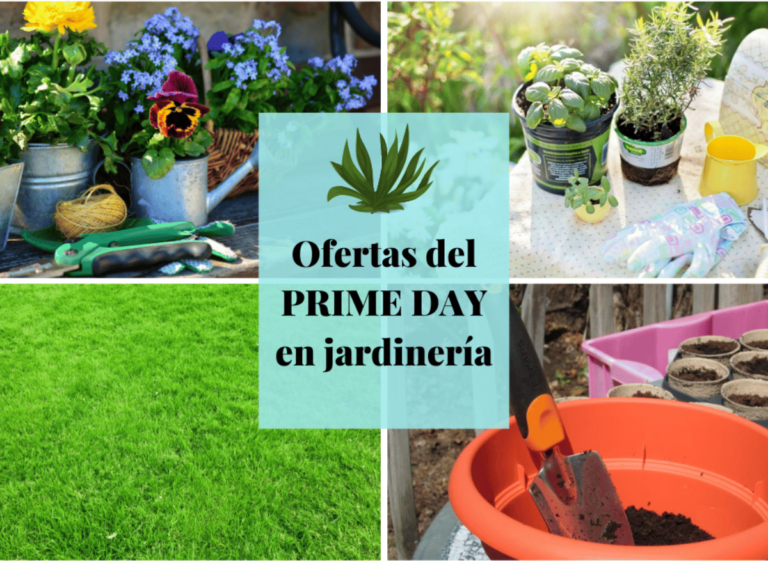 The best Prime Day gardening deals