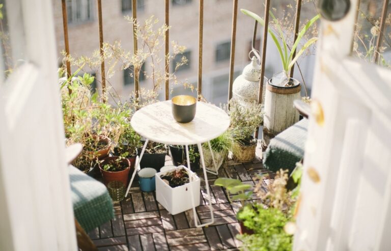 Hay muchas plantas que puedes poner en el balc&oacute;n
