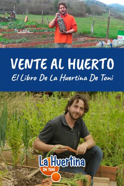 Toni's Huertina Book