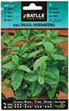 Batlle Seeds - Menta Spicata (peppermint), green color