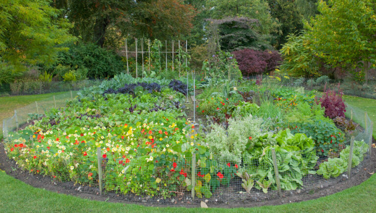 How to make a circular garden to improve productivity