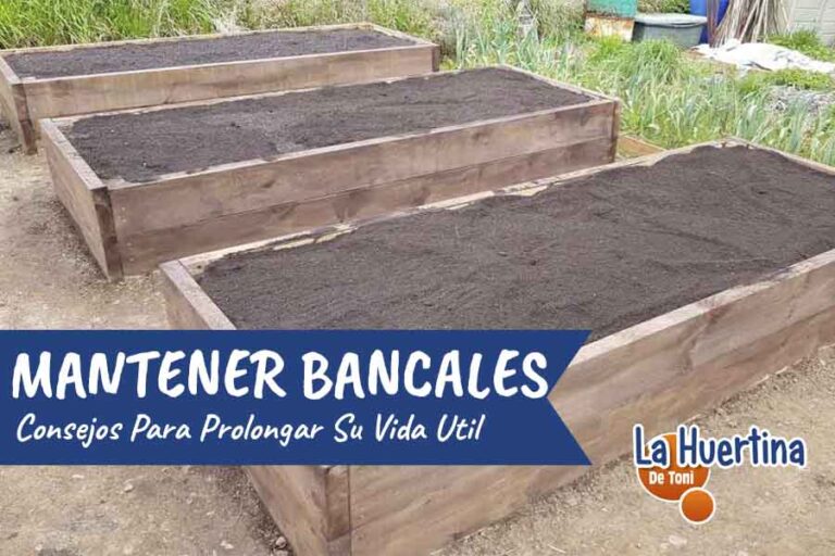 mantenimiento de bancales