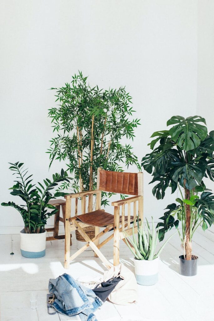 brown wooden chair surrounded by plants