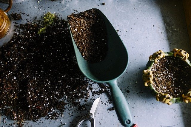 The best soil