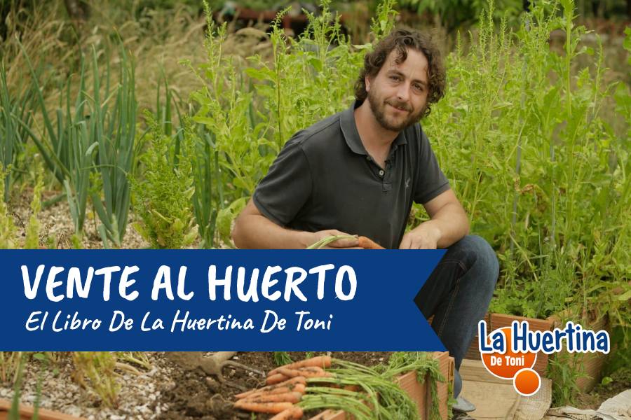 Come to the Garden: Grow Your Own Food