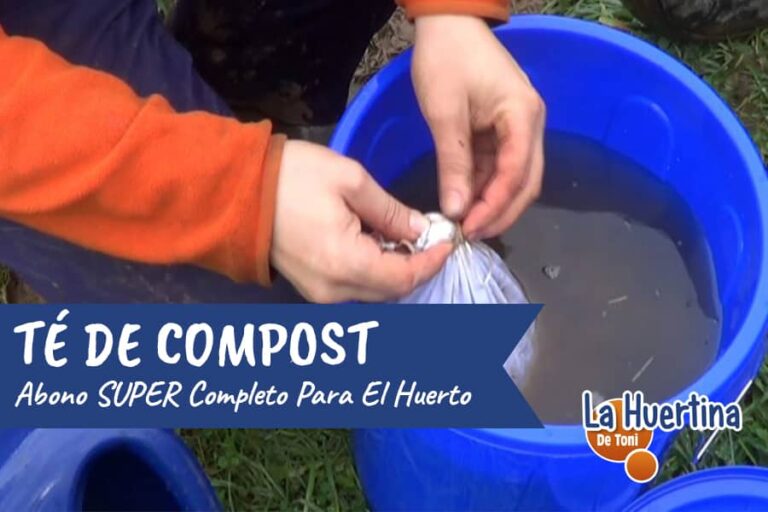 te de compost
