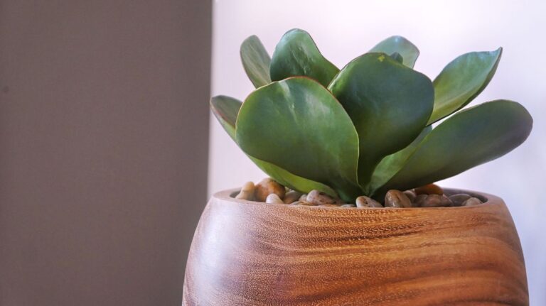 plantas artificiales realistas