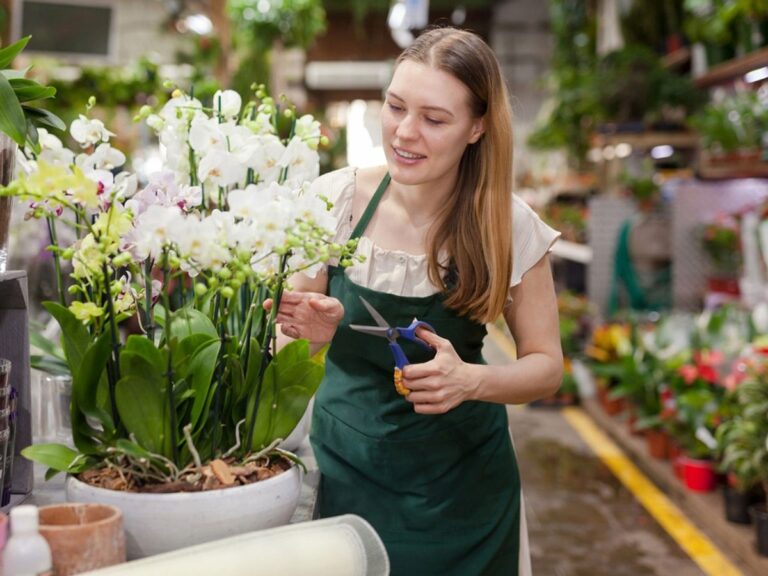 chica podando unas orquideas de color blanco