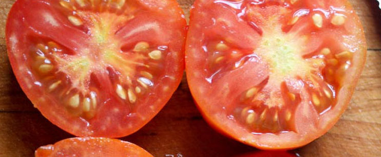 Storing tomato seeds