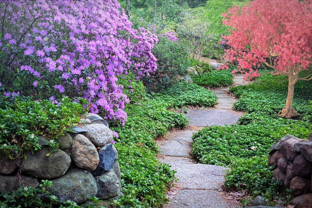 Los jardines rústicos son espacios exteriores creados por el ser humano con la intención de imitar a la naturaleza