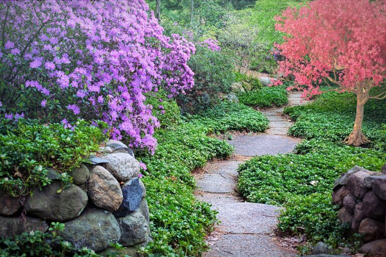 Los jardines r&uacute;sticos son espacios exteriores creados por el ser humano con la intenci&oacute;n de imitar a la naturaleza