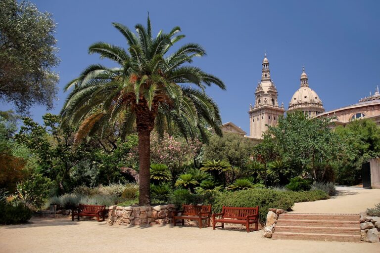 El primer domingo de cada mes, la entrada al Jard&iacute;n Bot&aacute;nico de Barcelona es gratuita