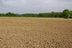 How to lay the land fallow?