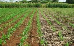 What are the types of tillage?  - A PUZZLE