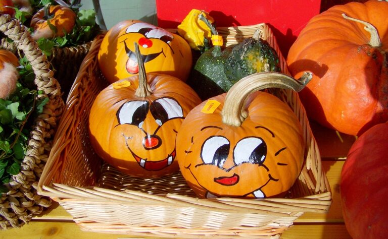 Para decorar calabazas secas con pintura, la m&aacute;s recomendable es la acr&iacute;lica