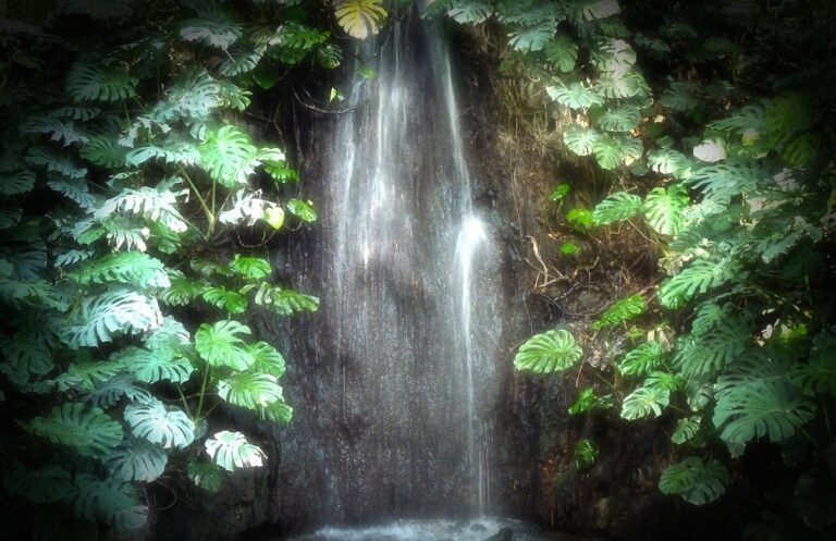 El Jard&iacute;n Bot&aacute;nico de M&aacute;laga tiene diversos elementos destacables