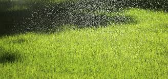 What happens if the artificial grass gets wet?