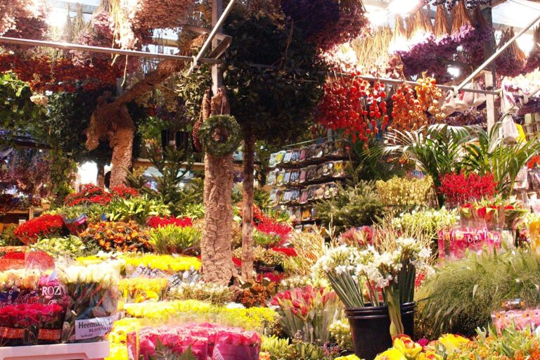 El mercado de las flores de &Aacute;msterdam vende &aacute;rboles de Navidad en diciembre