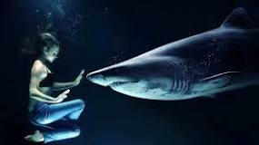 What is the hardest animal to tame?