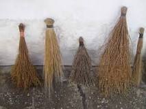 What are the old brooms called? What are the old brooms called?