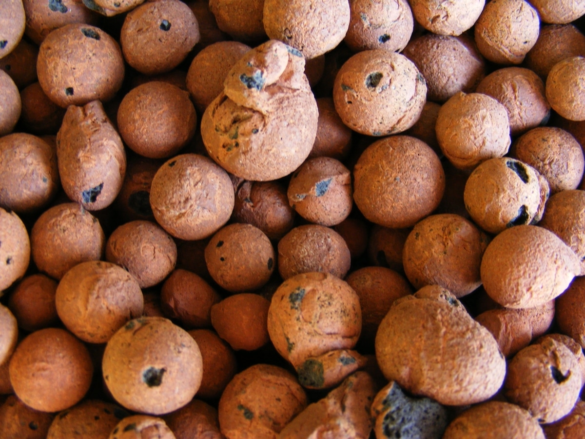 Clay is a mineral substrate