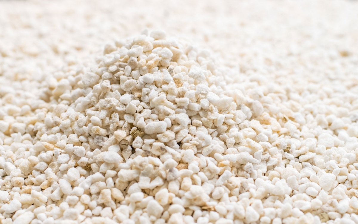 Perlite is an arid, white substrate