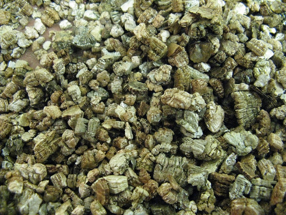Vermiculite is an ideal substrate for marijuana