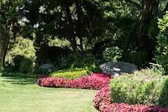 How to keep the garden clean?