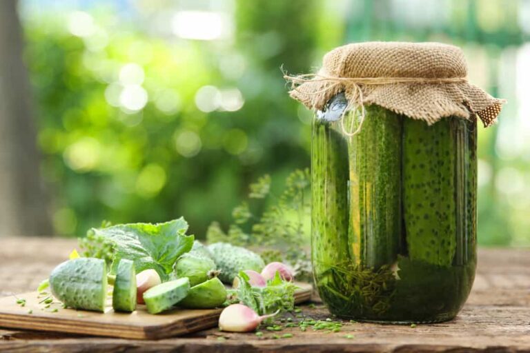 The Essential Guide to Canned Cucumbers