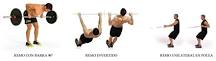 Which rower is the best for the back? Which rower is the best for the back?