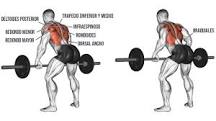 What is Dumbbell Row? What is Dumbbell Row?