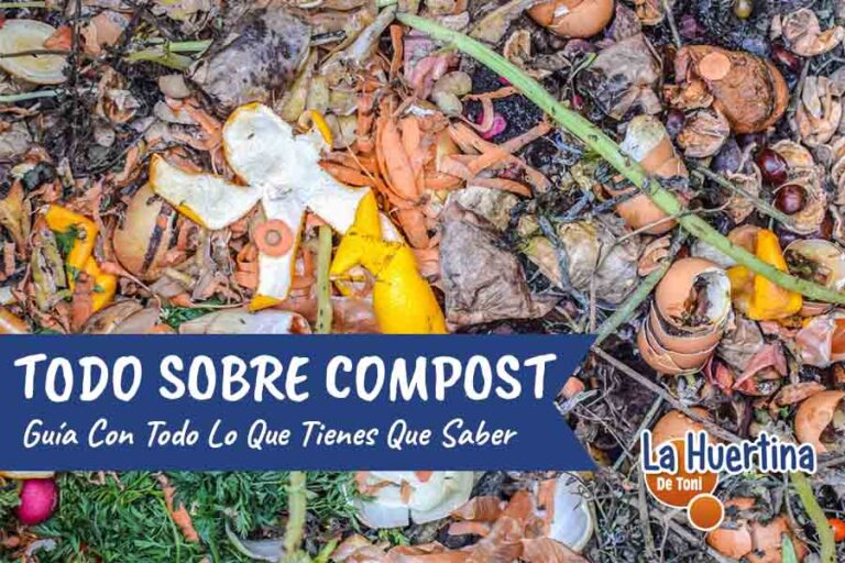 guia de compostaje