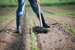 What is plowing the land?