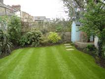 How to improve the quality of the lawn?  - A PUZZLE
