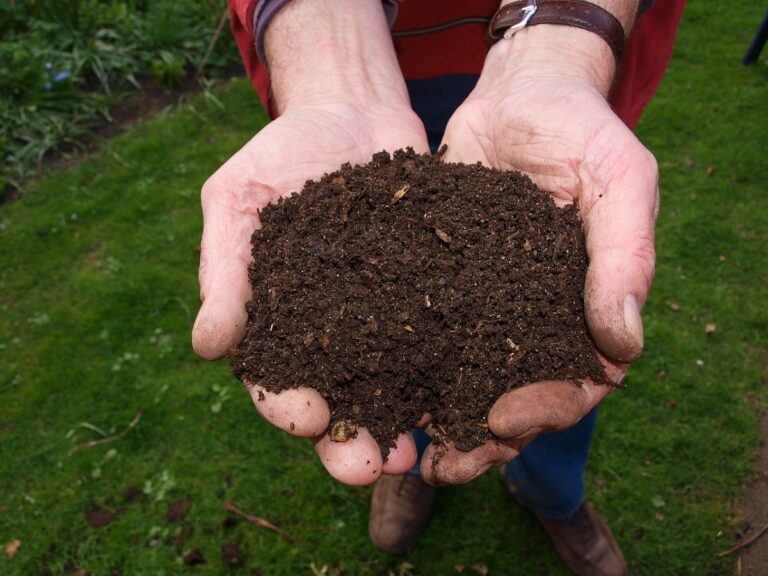 como hacer compost con restos de poda en casa