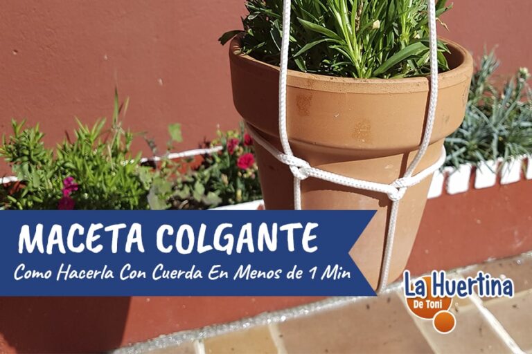 como colgar macetas