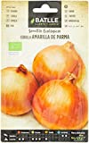 Parma yellow onion - ECO