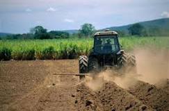 When is the best time to plow the land?