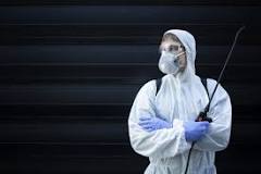 How long does the fumigation effect last?