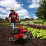 What tasks can be carried out with the tiller in the school garden?
