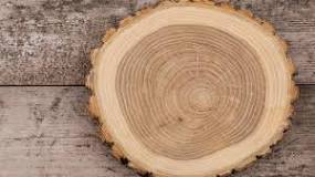 What to do so that the wood does not open?