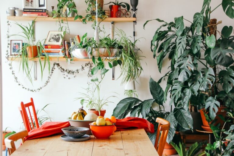 Las plantas pueden verse ca&iacute;das por varios motivos