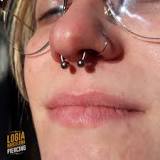 What are the nostril and the septum?
